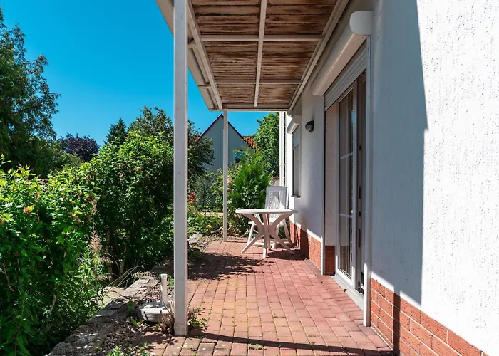 Kormoran Sellin (Rugen)