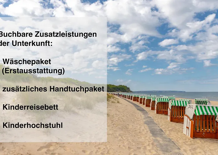 Kormoran * Sellin (Rugen)